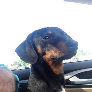 Meet your Posher, Tommy